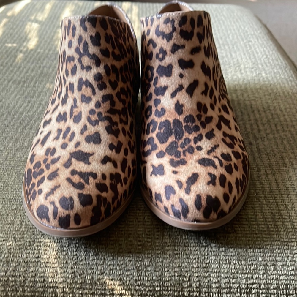Torrid Booties